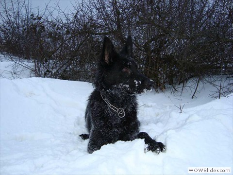Qira vom Hessischen-Bergland