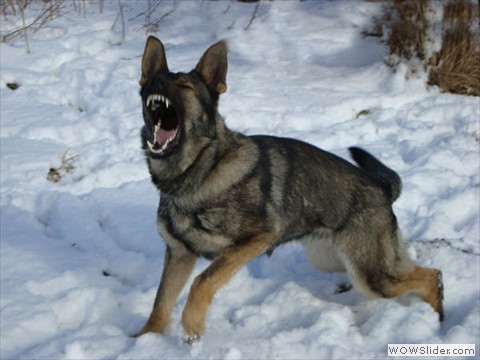 Nele vom Sichelnsteiner Fels