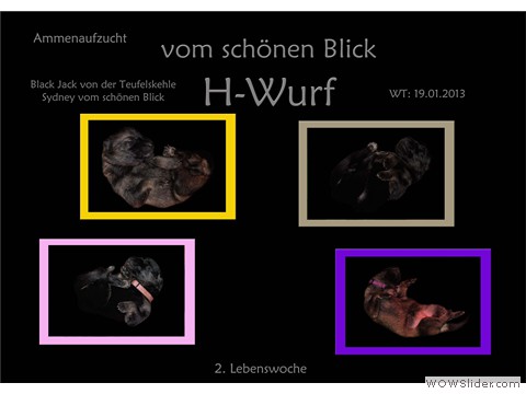 Galeriebild 2. Lebenswoche