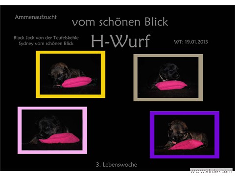 Galeriebild 3. Lebenswoche