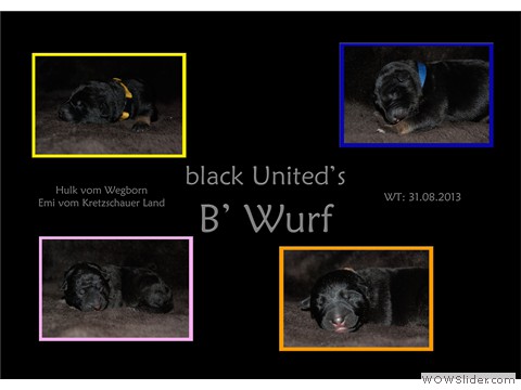 Bildergalerie 1. Lebenswoche