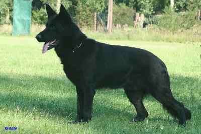 Worker zum J�rgenshof